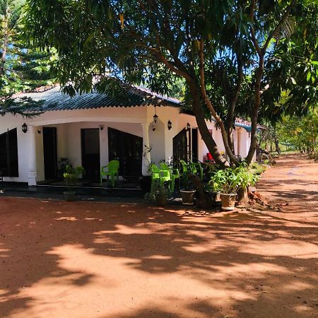 Dambulla City Hostel エクステリア 写真