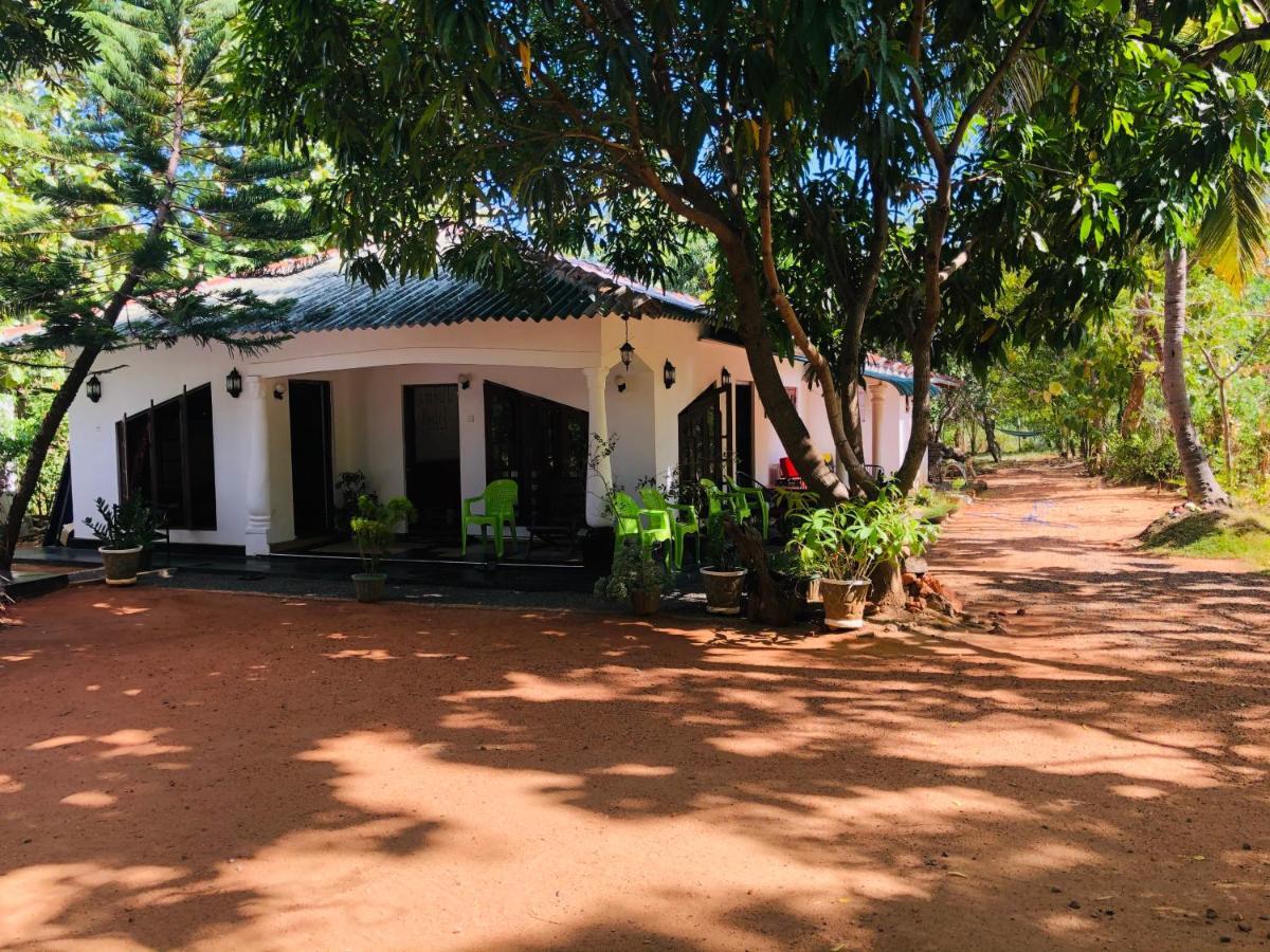 Dambulla City Hostel エクステリア 写真