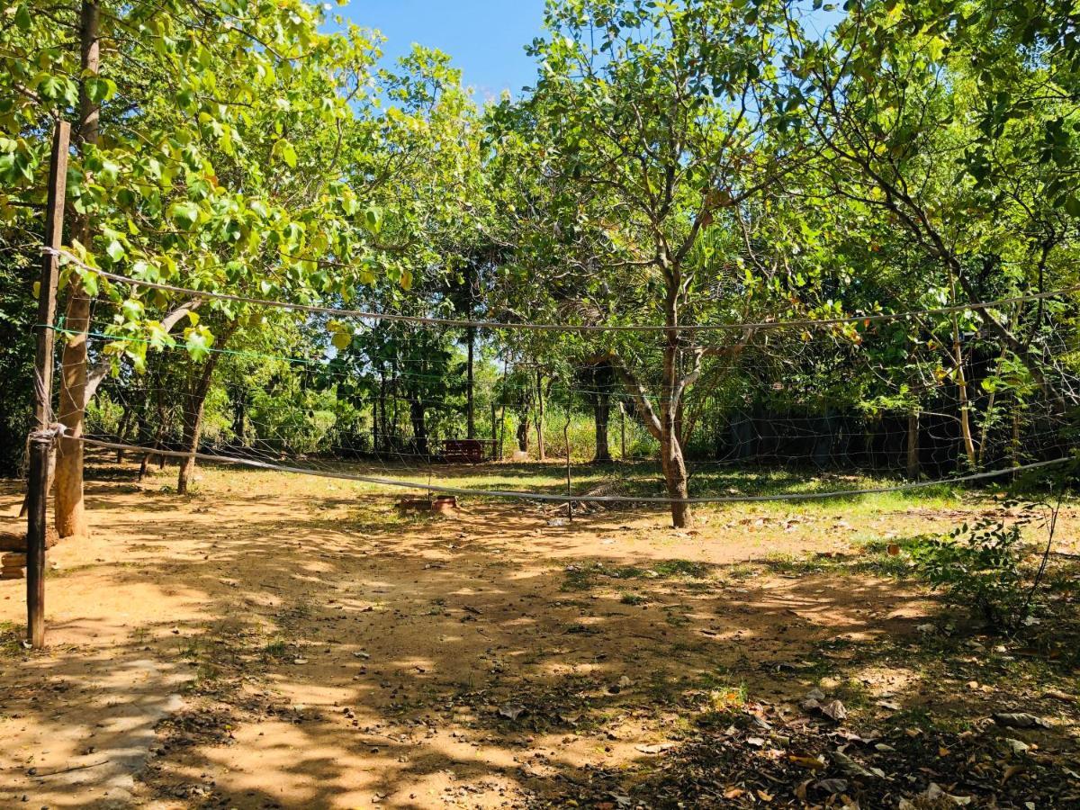 Dambulla City Hostel エクステリア 写真